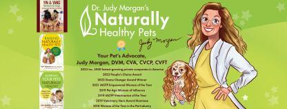 Yin and Yang 2.0 Nutrition for Dogs Dr Judy Morgan TCM Diet Pet Nutrition Book