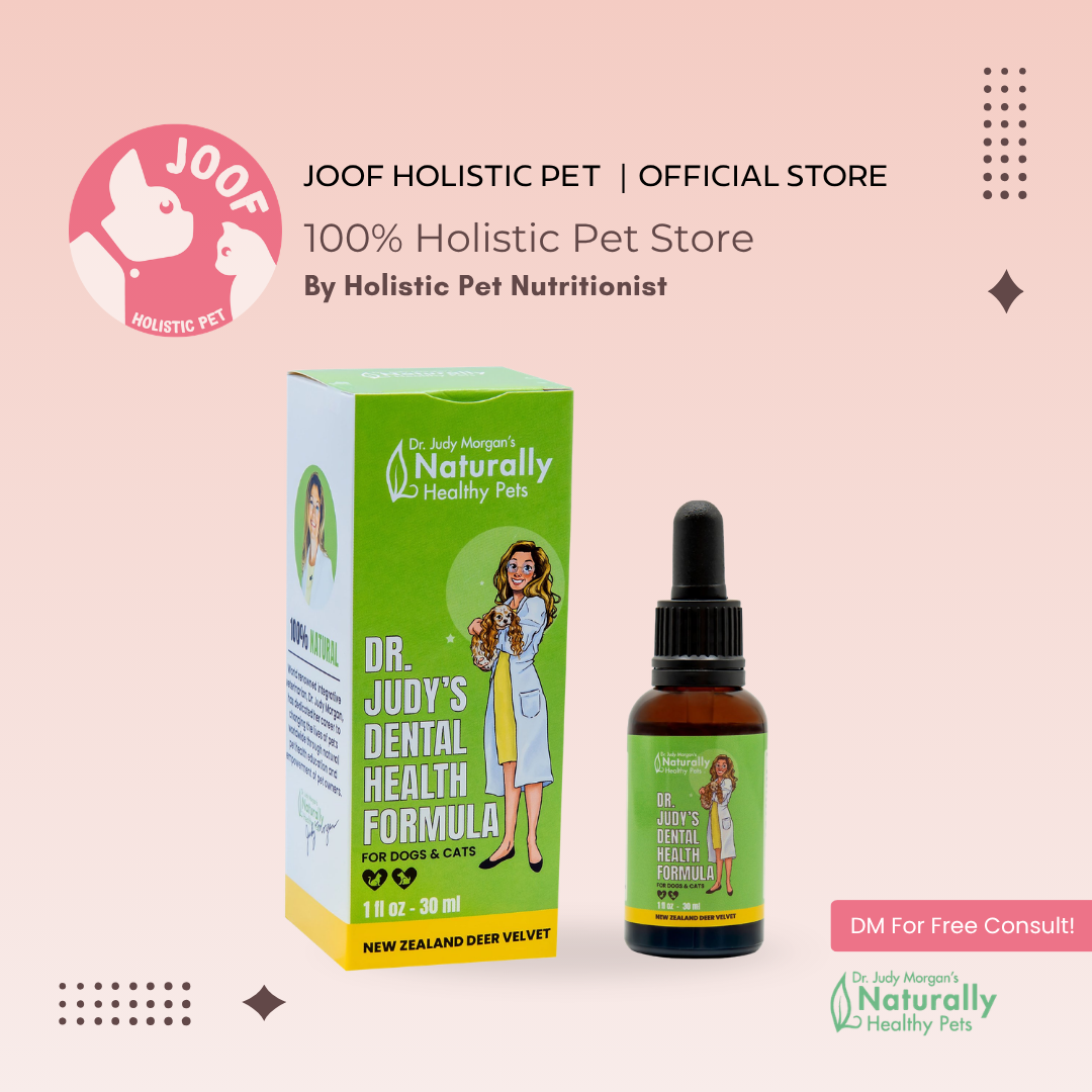Dr Judy Morgan Dental Health Formula Oral Plaque Tartar Gum Health Support for Dogs and Cats
