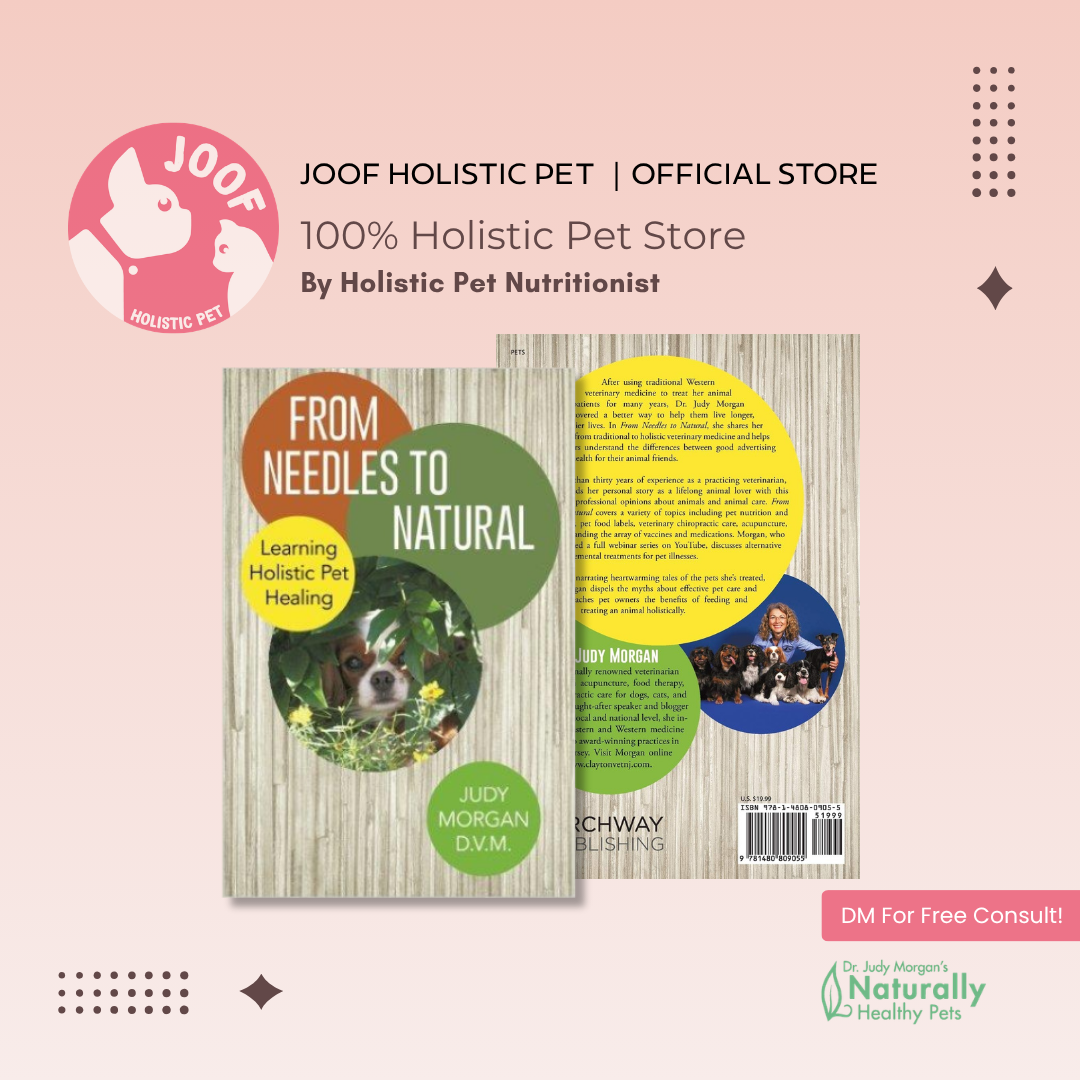 From Needles to Natural Dr Judy Morgan Holistic Pet Care Natural Healing Book