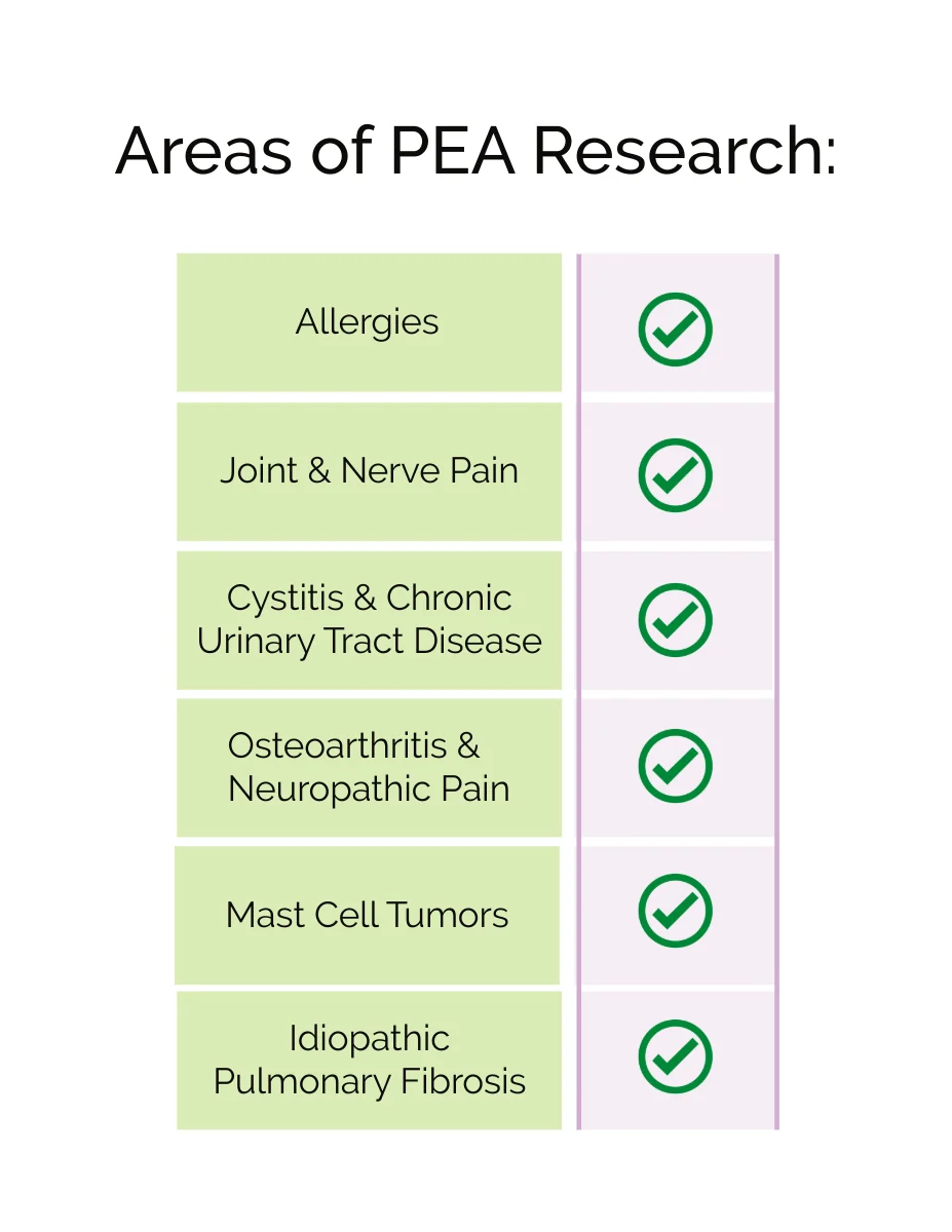 Dr Judy Morgan PEA Palmitoylethanolamide (9g & 40g) Nerve Pain Mast Cell Allergy Anti Inflammatory Support for Dogs and Cats