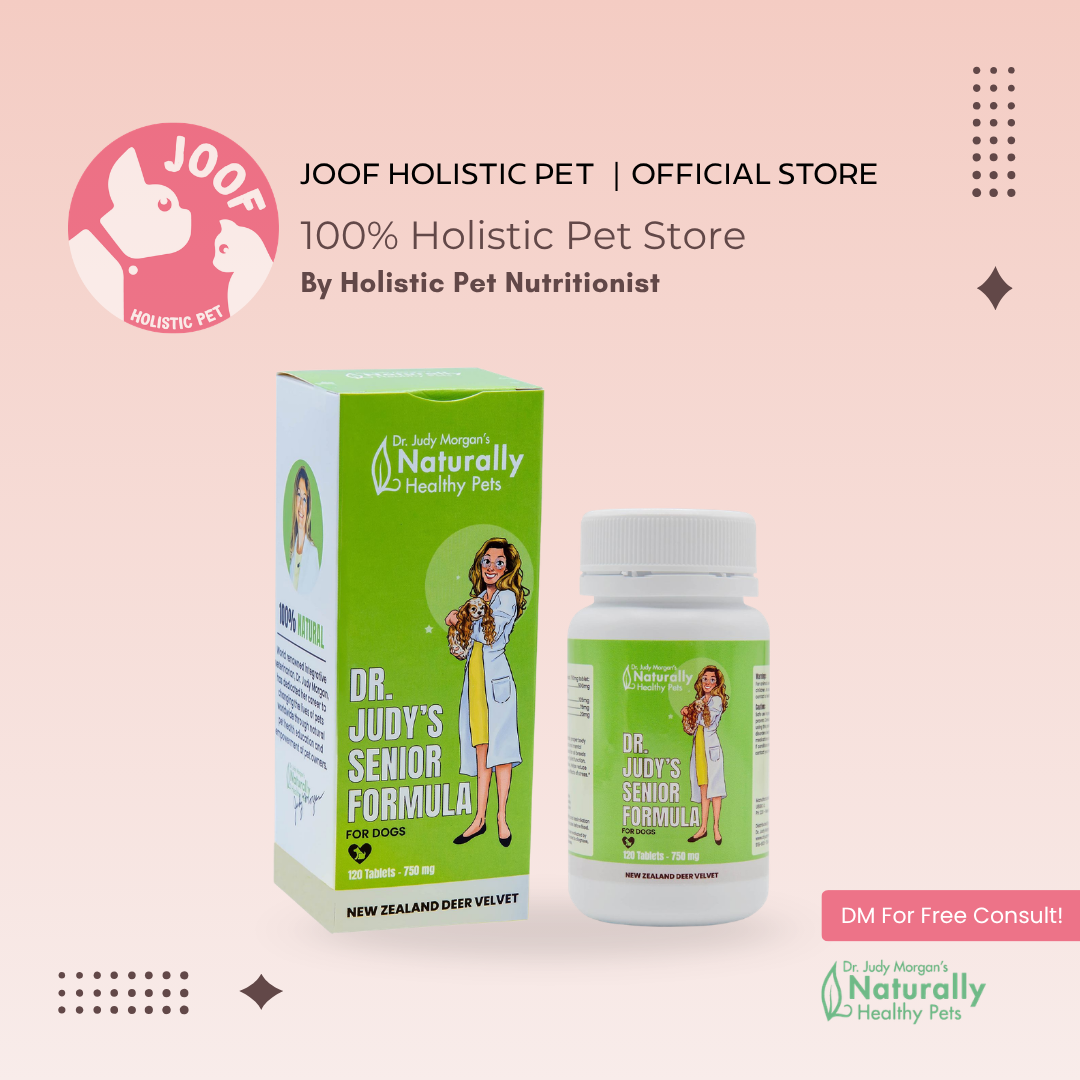 Dr Judy Morgan Senior Formula (120 Tabs) Joint Mobility Arthritis Support for Senior Dogs