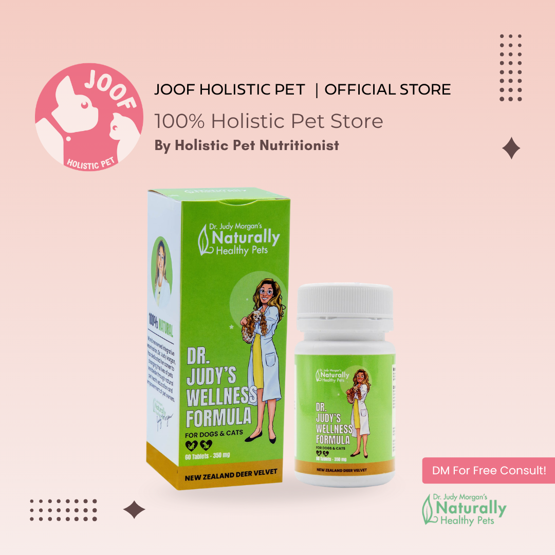 Dr Judy Morgan Wellness Formula (60 Tabs) Immune Vitality Overall Health Support for Dogs and Cats