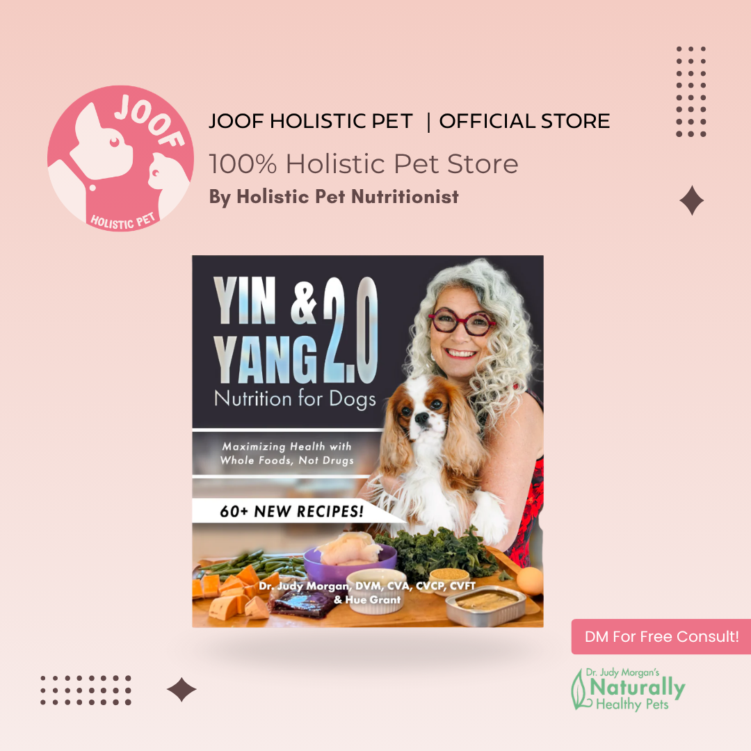 Yin and Yang 2.0 Nutrition for Dogs Dr Judy Morgan TCM Diet Pet Nutrition Book