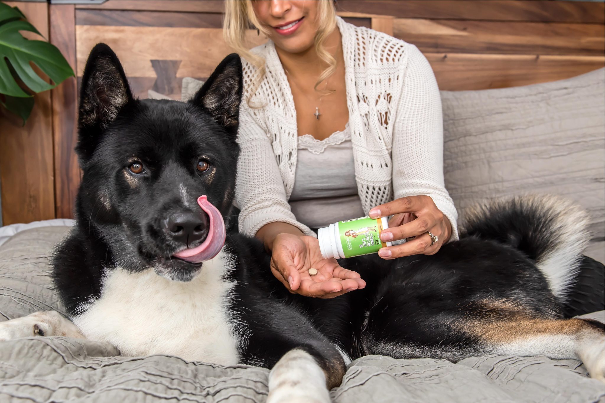 Dr Judy Morgan's Wellness Formula | Overall Wellness Support | Holistic Healthcare for Dogs & Cats