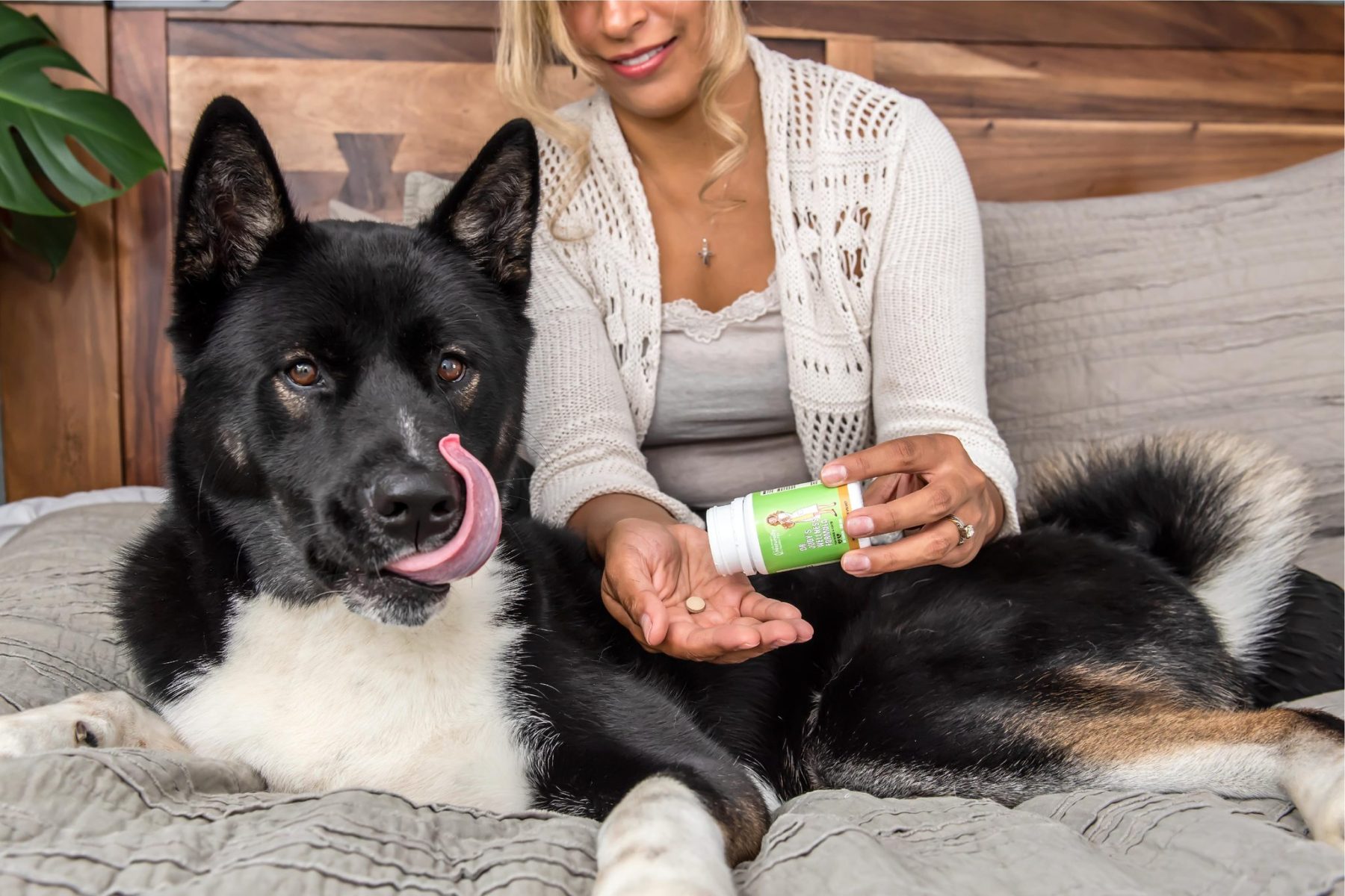 Dr Judy Morgan's Wellness Formula | Overall Wellness Support | Holistic Healthcare for Dogs & Cats