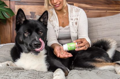 Dr Judy Morgan's Wellness Formula | Overall Wellness Support | Holistic Healthcare for Dogs & Cats