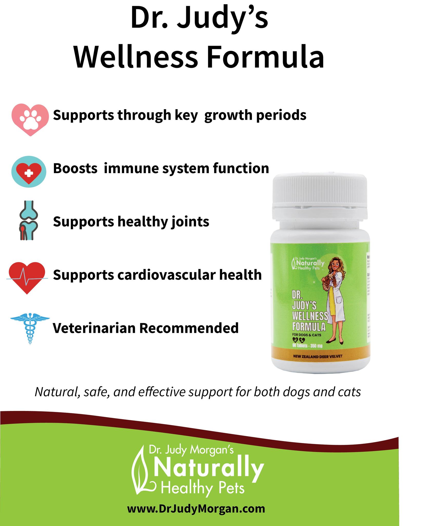 Dr Judy Morgan's Wellness Formula | Overall Wellness Support | Holistic Healthcare for Dogs & Cats