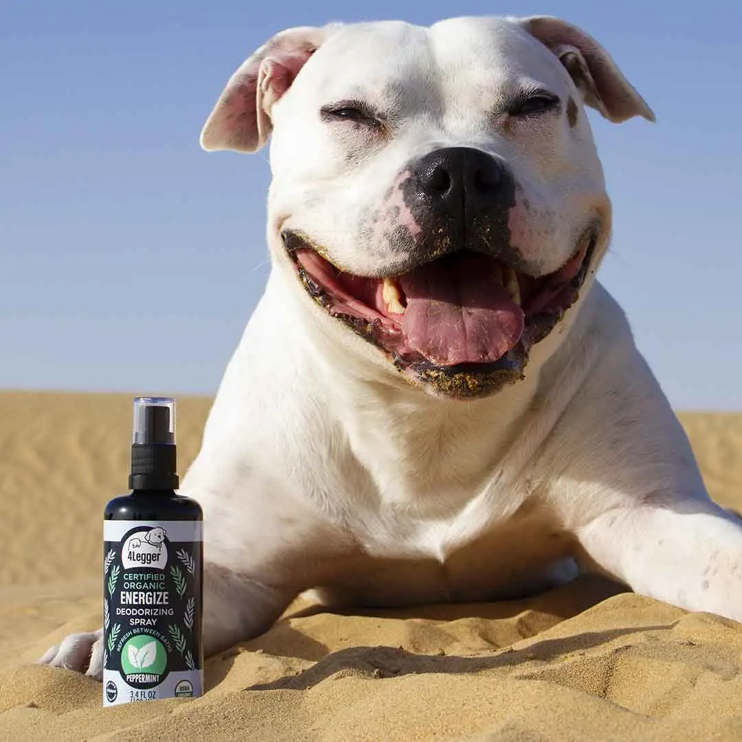 4Legger Energize, Peppermint USDA Certified Organic Deodorizing Spray for Dogs (3.4oz) | Holistic Grooming Essentials for Dogs
