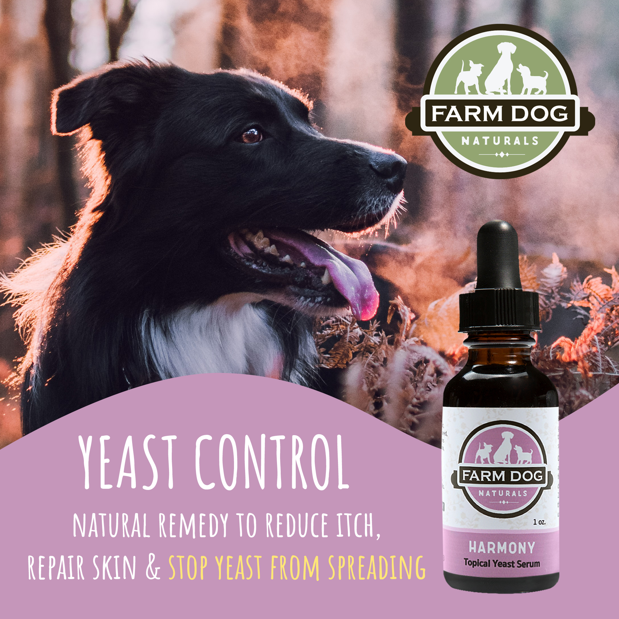 Farm Dog Naturals Harmony (1oz) | Yeast Infection Topical Support | Holistic Grooming care for Dogs & Cats