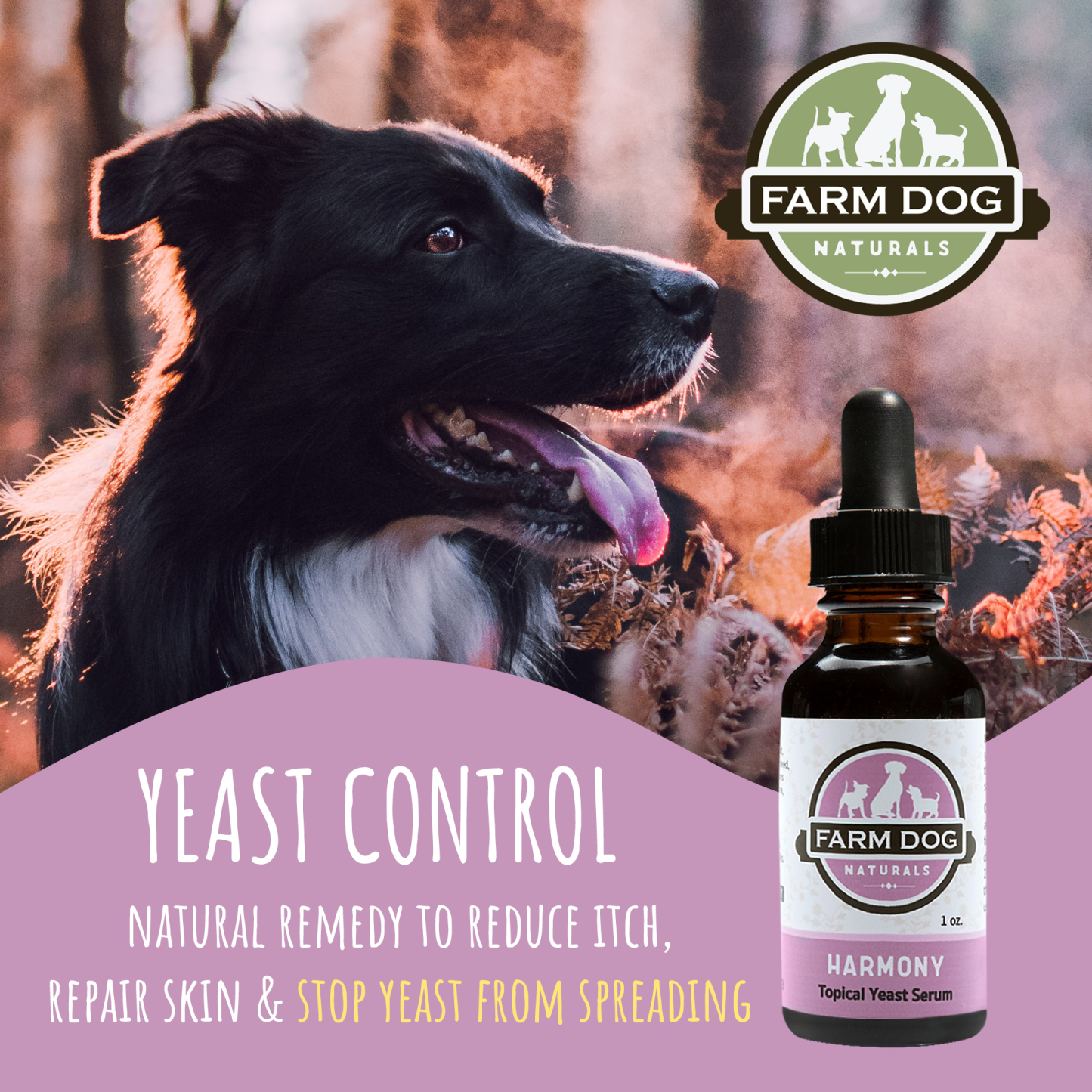 Farm Dog Naturals Harmony (1oz) | Yeast Infection Topical Support | Holistic Grooming care for Dogs & Cats
