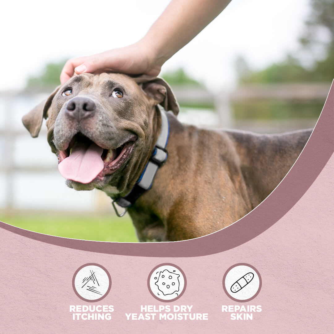 Farm Dog Naturals Harmony (1oz) | Yeast Infection Topical Support | Holistic Grooming care for Dogs & Cats