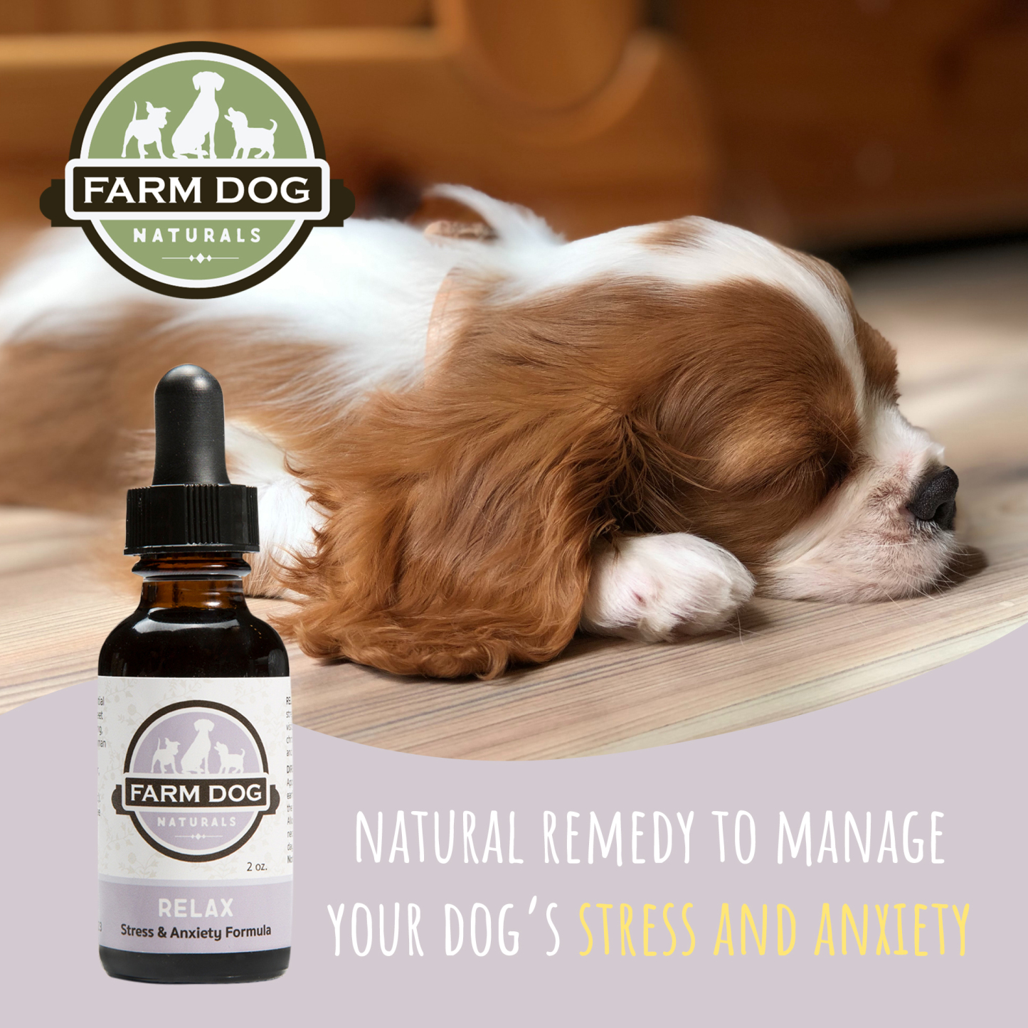Farm Dog Naturals Relax (1oz) | Stress Anxiety Topical Support | Holistic Healthcare for Dogs