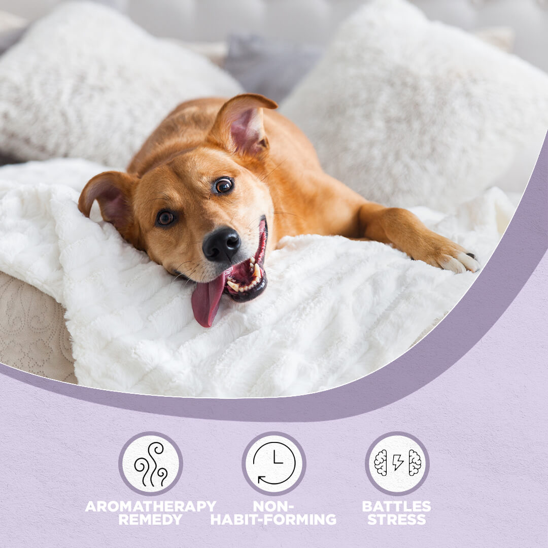 Farm Dog Naturals Relax (1oz) | Stress Anxiety Topical Support | Holistic Healthcare for Dogs