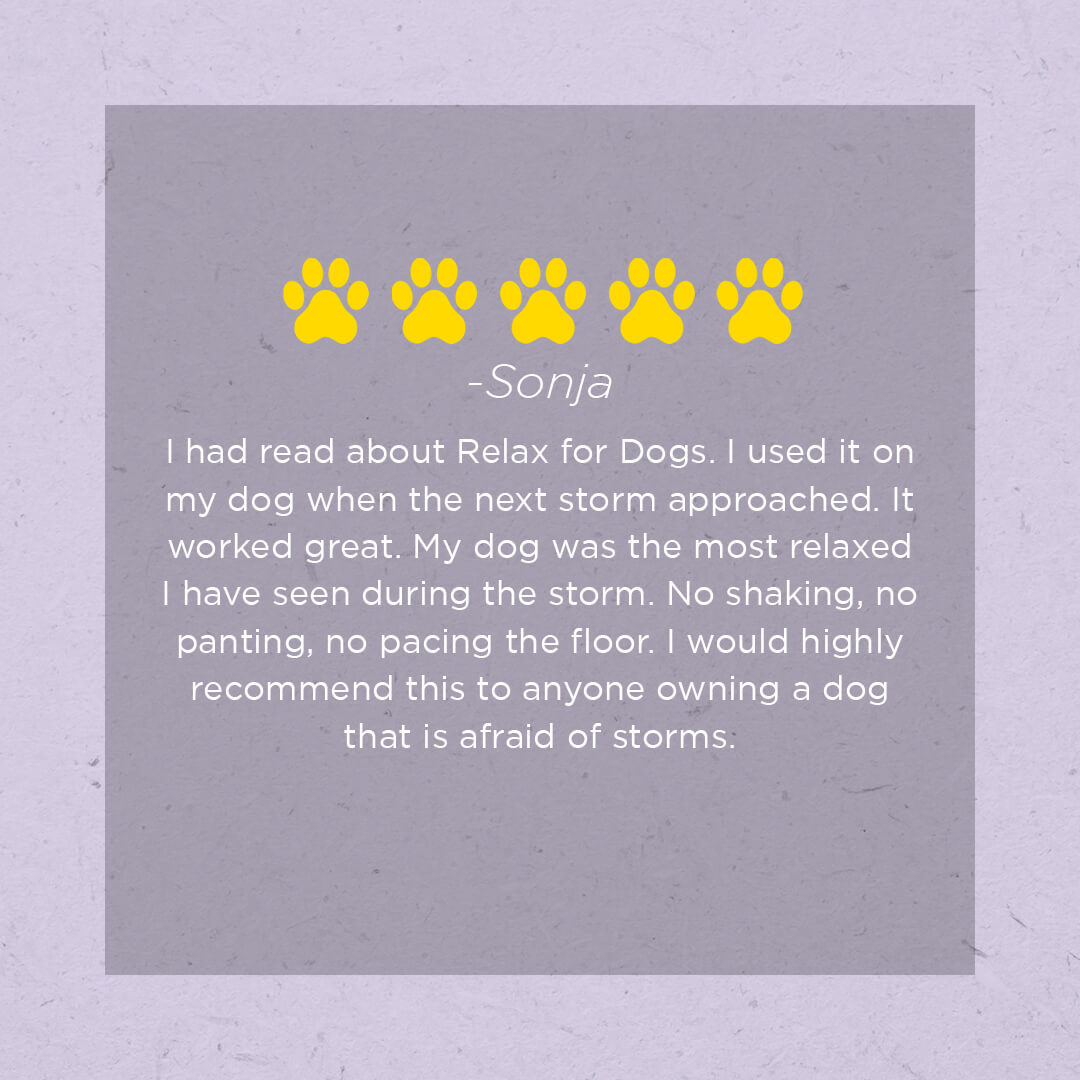 Farm Dog Naturals Relax (1oz) | Stress Anxiety Topical Support | Holistic Healthcare for Dogs