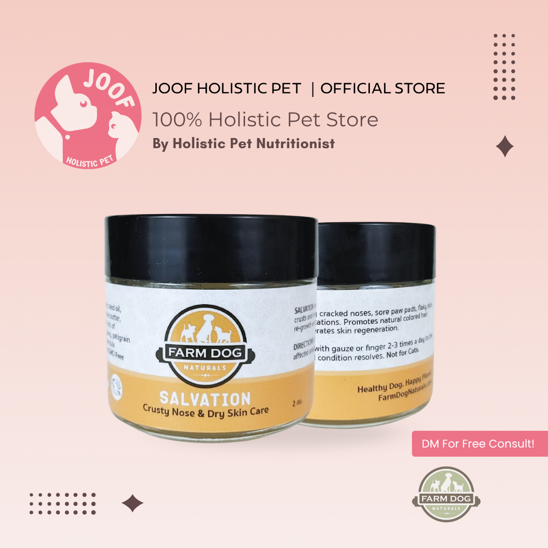 Farm Dog Naturals Salvation Salve (2oz) Crusty Nose Dry Skin Healing Herbal Balm for Dogs