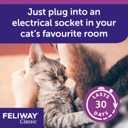FELIWAY Classic Diffuser | Separation Anxiety Stress Relief | Holistic Healthcare for Cats