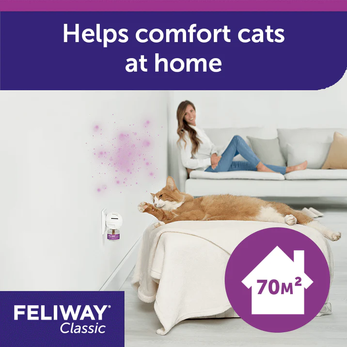 FELIWAY Classic Diffuser | Separation Anxiety Stress Relief | Holistic Healthcare for Cats