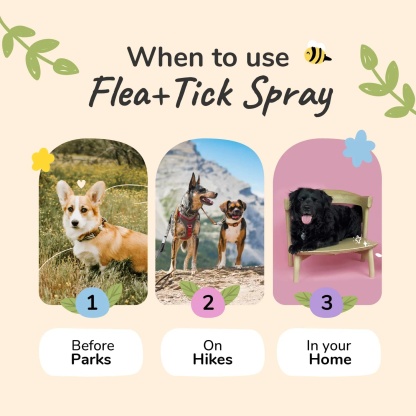 Kin & Kind Flea Tick Protect Spray - Lavender | Anti-Flea, Tick & Mosquito Spray For Dogs | Natural Pet Grooming Essentials