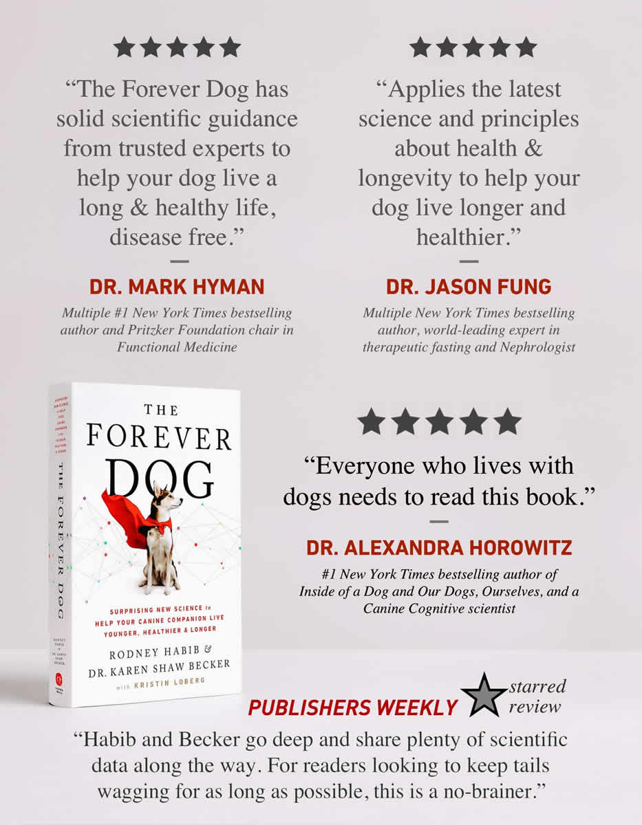 The Forever Dog Dr Karen Becker Rodney Habib Holistic Dog Health Book Soft Cover