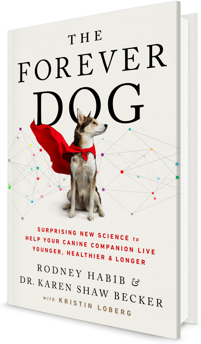 The Forever Dog Dr Karen Becker Rodney Habib Holistic Dog Health Book Soft Cover