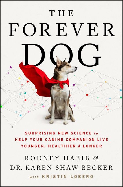The Forever Dog Dr Karen Becker Rodney Habib Holistic Dog Health Book Soft Cover