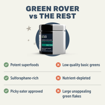 Four Leaf Rover Green Rover (1.4oz) Greens Antioxidant Gut Immune Detox Support Vet Formulated for Dogs
