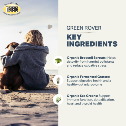 Four Leaf Rover Green Rover (1.4oz) Greens Antioxidant Gut Immune Detox Support Vet Formulated for Dogs