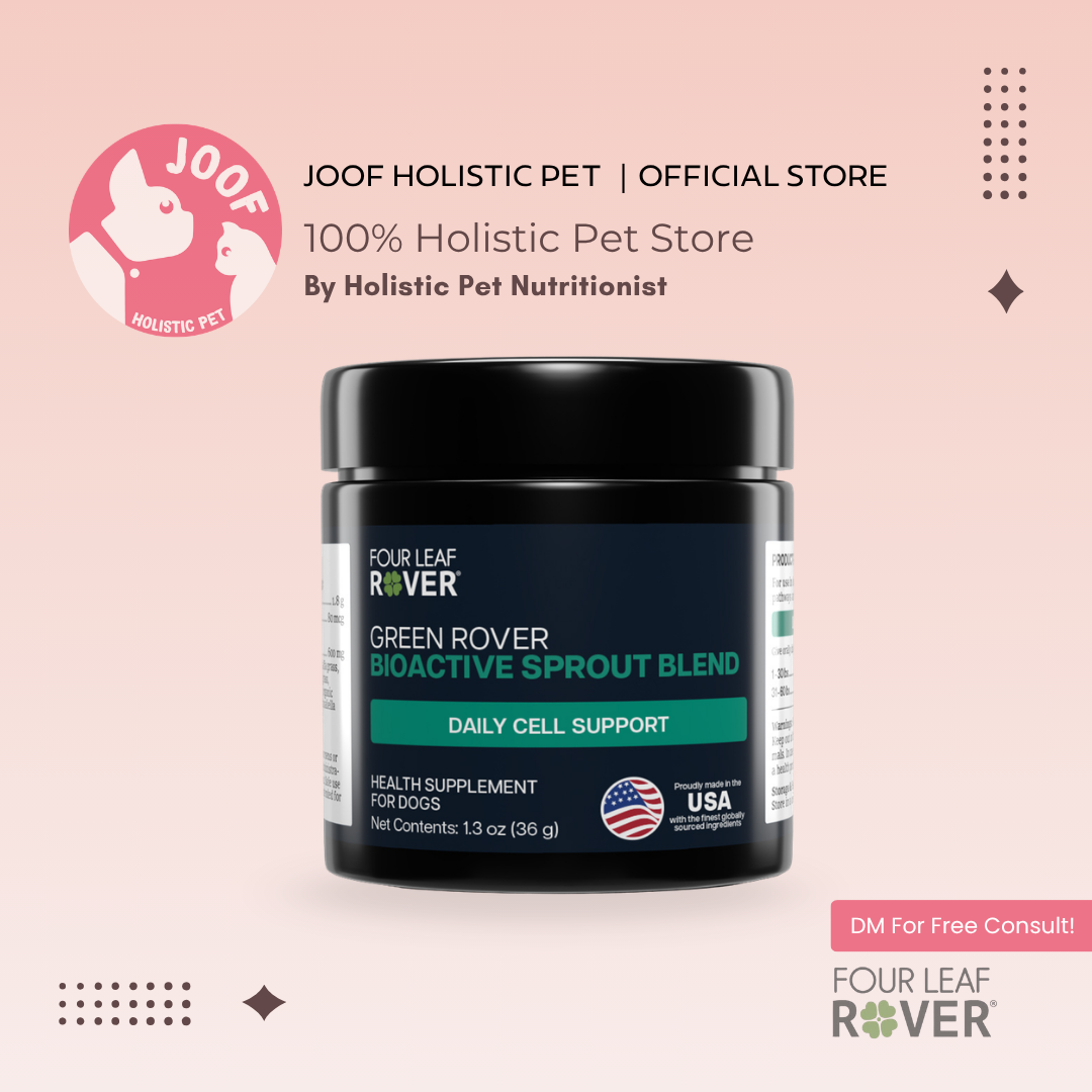 Four Leaf Rover Green Rover (1.4oz) Greens Antioxidant Gut Immune Detox Support Vet Formulated for Dogs