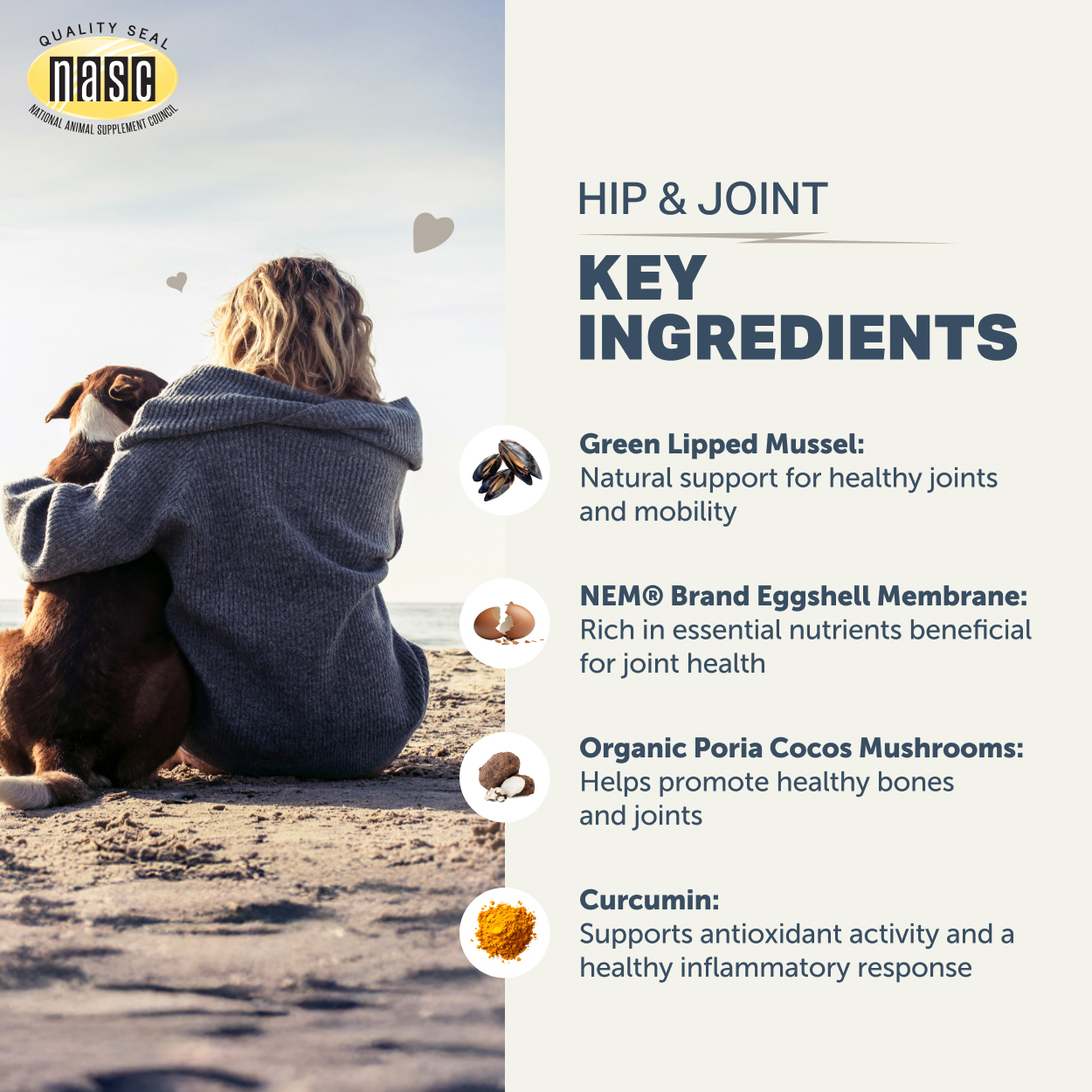 Four Leaf Rover Hip & Joint (2.9oz) Joint Mobility Arthritis Support Vet Formulated Natural for Dogs