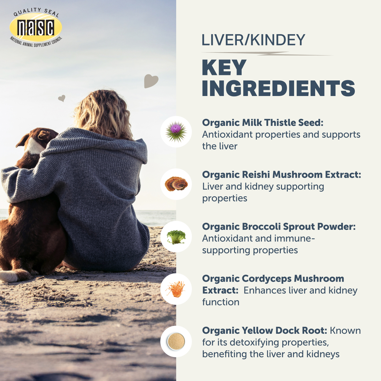 Four Leaf Rover Liver Kidney Clean (1.3oz) Liver Kidney Detox Cleanse Support Vet Formulated for Dogs