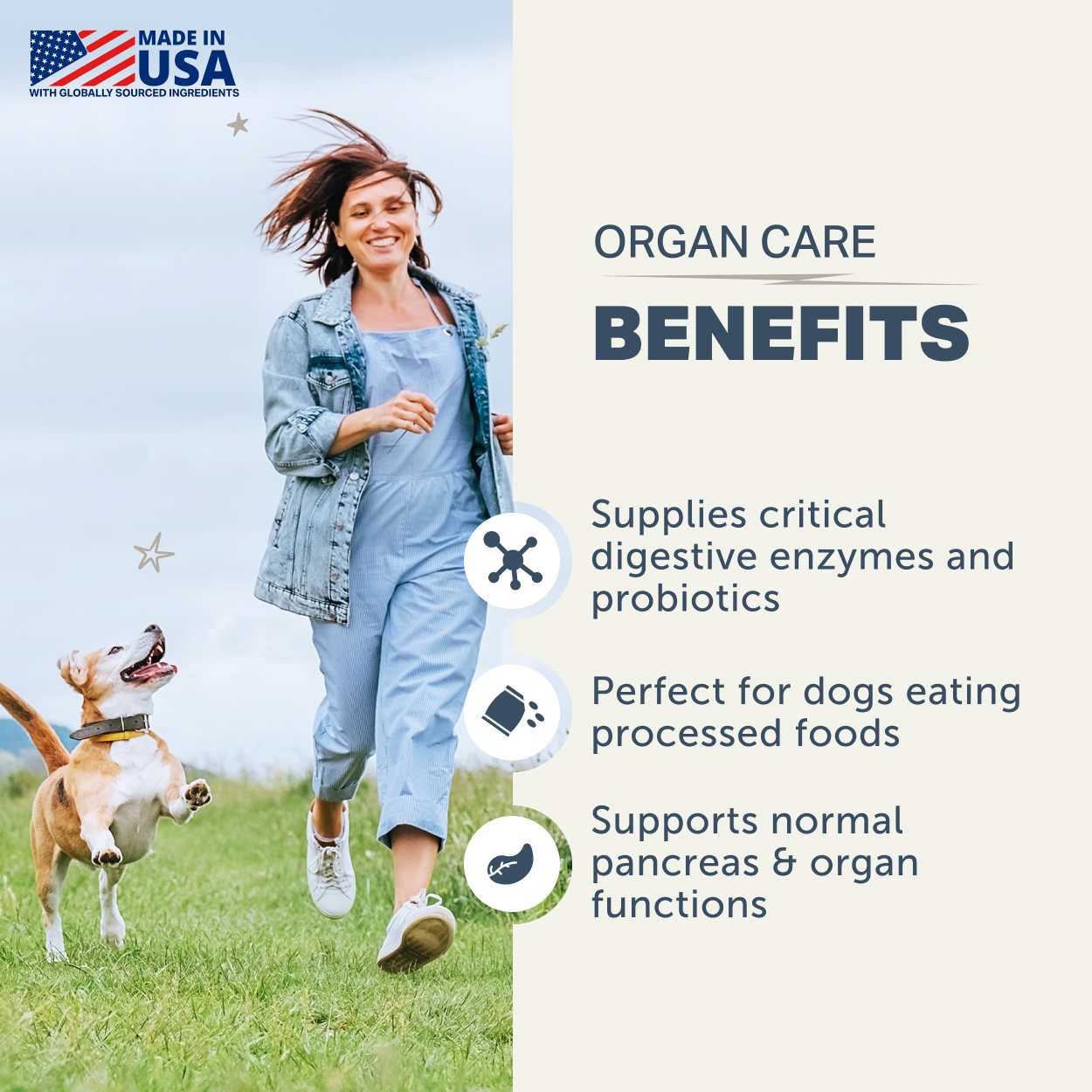 Four Leaf Rover Digest (1.6oz) Probiotics Digestive Enzyme Gut Support Vet Formulated for Dogs