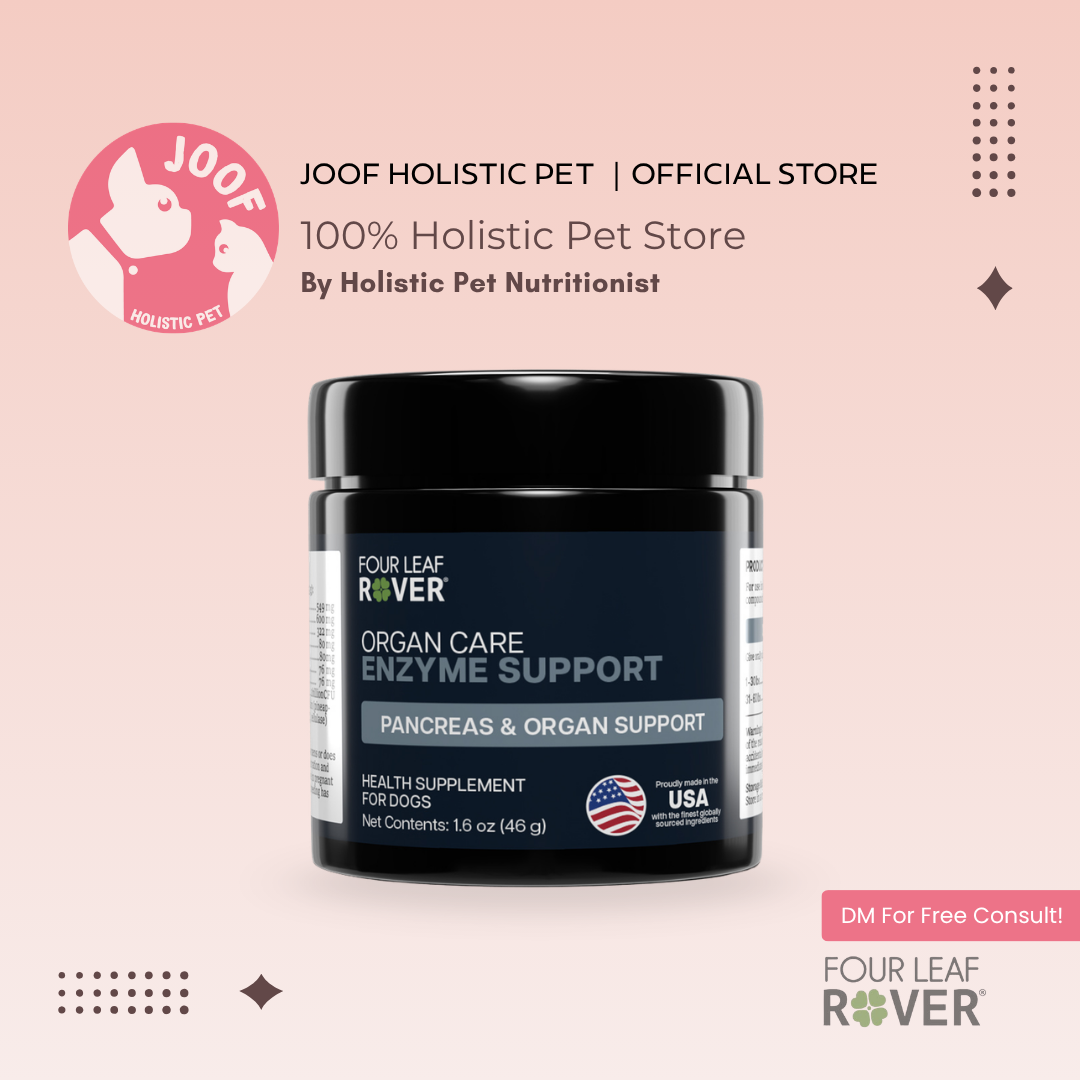 Four Leaf Rover Digest (1.6oz) Probiotics Digestive Enzyme Gut Support Vet Formulated for Dogs