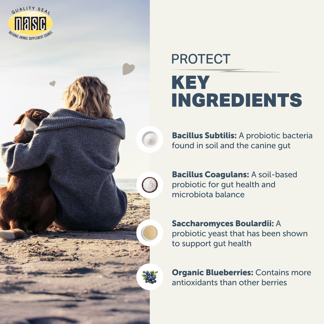 Four Leaf Rover Protect (3.3oz & 6.5oz) Daily Probiotics Gut Immune Support Vet Formulated for Dogs