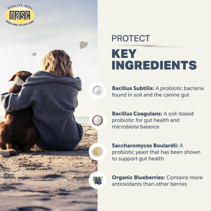 Four Leaf Rover Protect (3.3oz & 6.5oz) Daily Probiotics Gut Immune Support Vet Formulated for Dogs