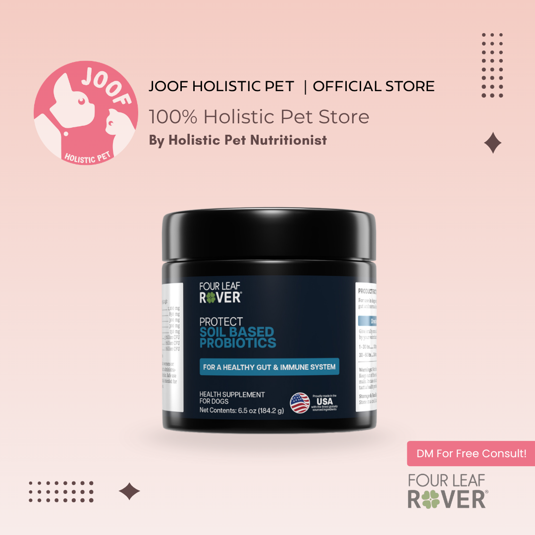 Four Leaf Rover Protect (3.3oz & 6.5oz) Daily Probiotics Gut Immune Support Vet Formulated for Dogs