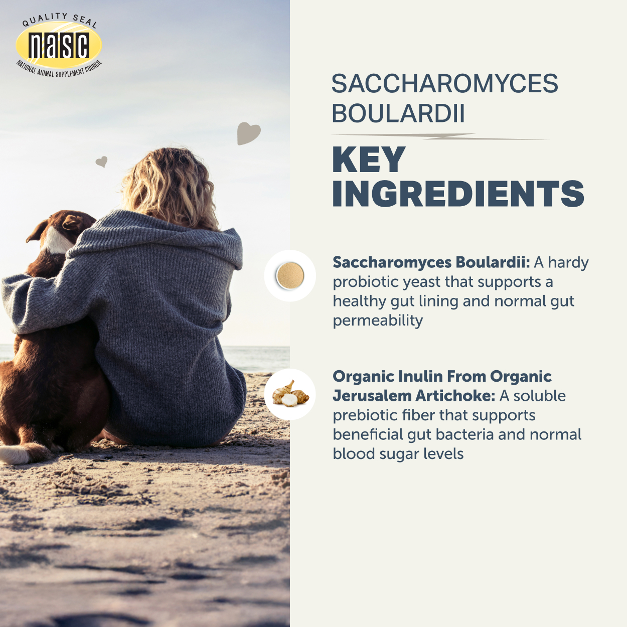 Four Leaf Rover Saccharomyces Boulardii (1.7oz) Probiotic Diarrhea IBD Gut Support Vet Formulated for Dogs