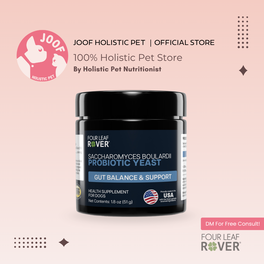 Four Leaf Rover Saccharomyces Boulardii (1.7oz) Probiotic Diarrhea IBD Gut Support Vet Formulated for Dogs
