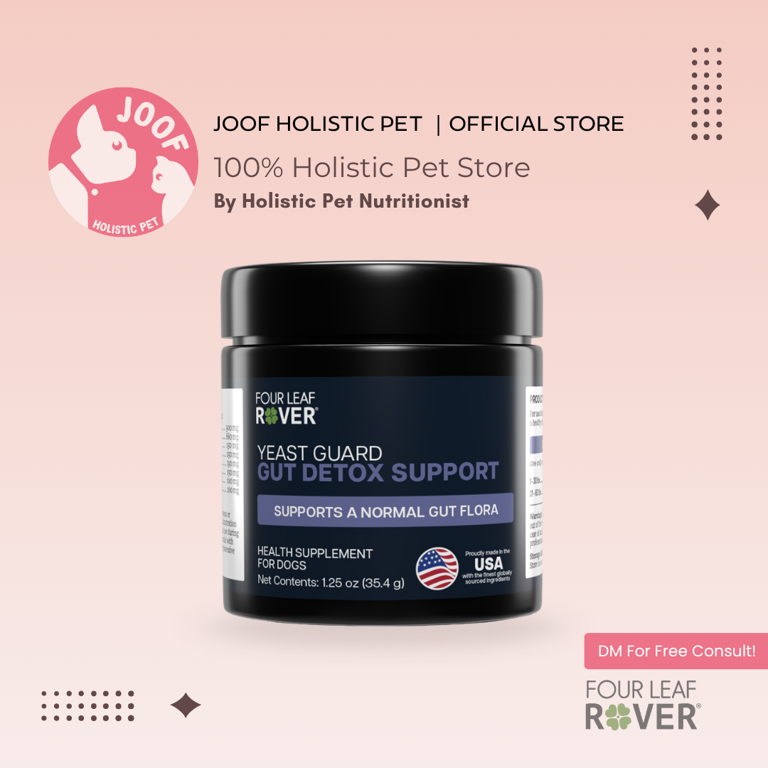 Four Leaf Rover Yeast Guard (1.4oz) Yeast Infection Itchy Skin Gut Support Vet Formulated for Dogs