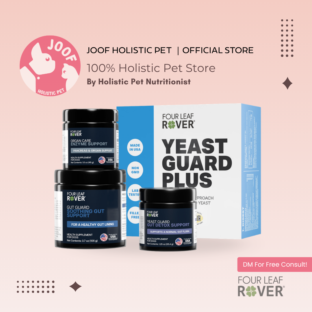 Four Leaf Rover Yeast Guard Plus Yeast Infection Itchy Skin Ear Paw Support Vet Formulated for Dogs