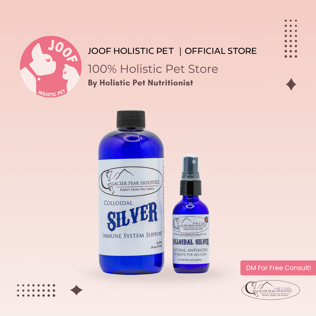 Glacier Peak Colloidal Silver (10 PPM) Antiviral Antifungal Immune Support for Dogs and Cats