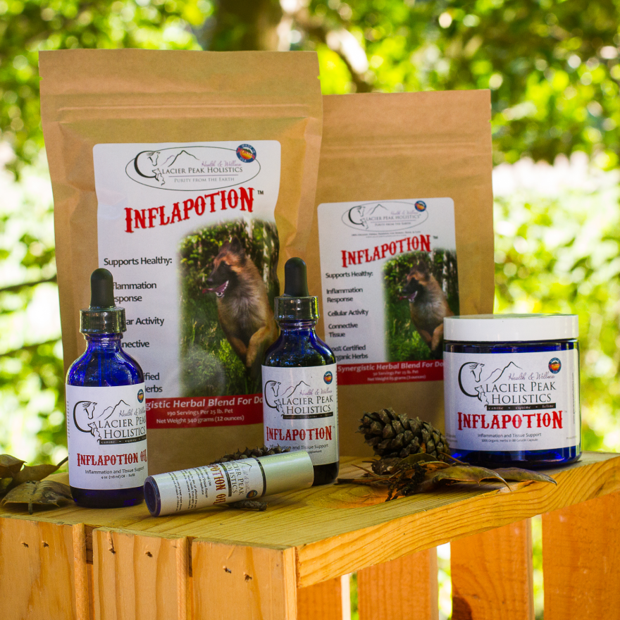Glacier Peak Inflapotion | Pain Anti-Inflammatory IVDD Joint Support | Holistic Healthcare for Dogs & Cats
