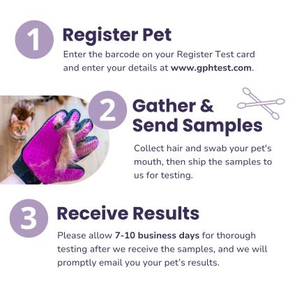 Glacier Peak Pet Intolerance Test Food Allergy Environmental Sensitivity for Dogs and Cats