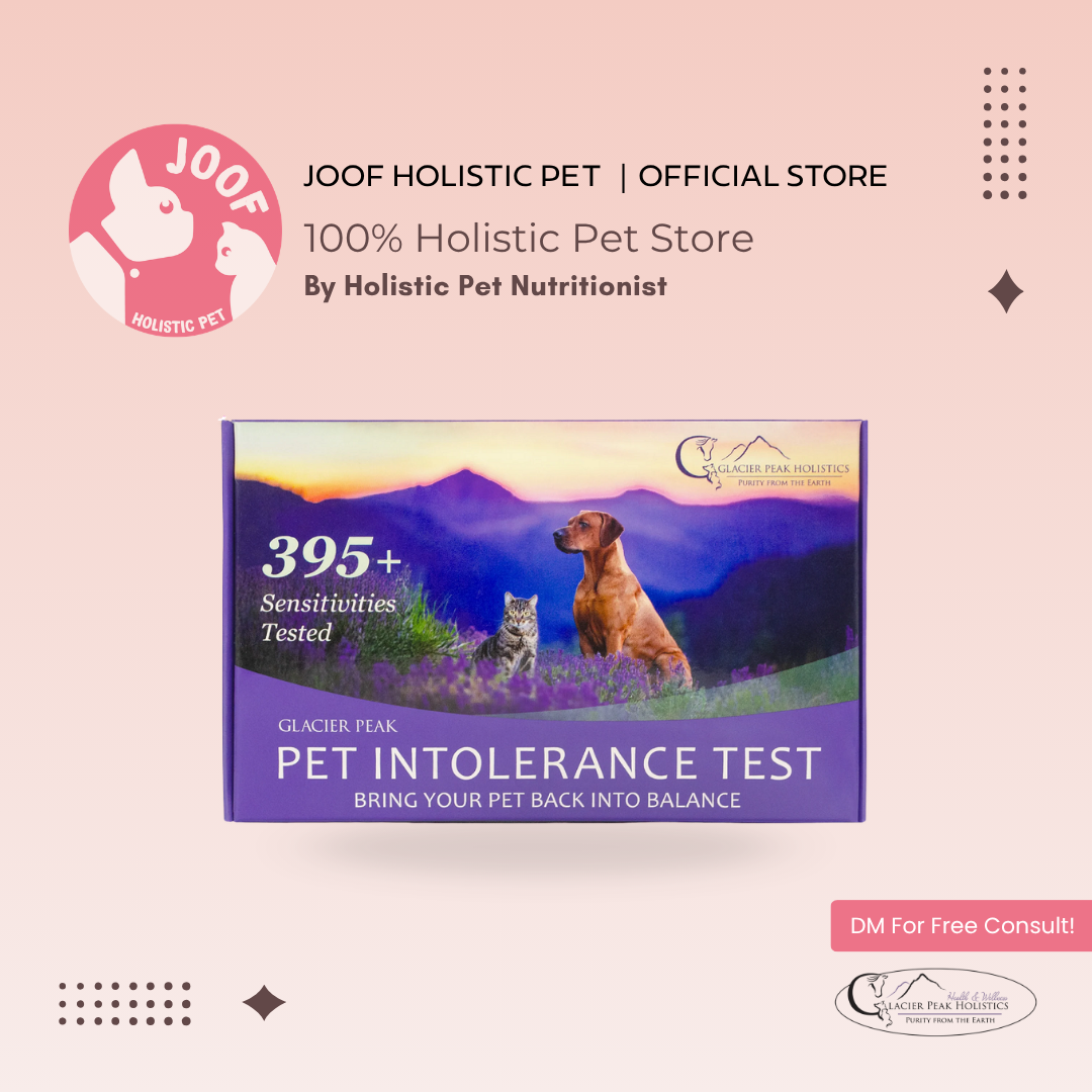 Glacier Peak Pet Intolerance Test Food Allergy Environmental Sensitivity for Dogs and Cats