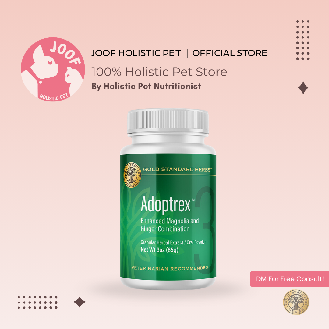 Gold Standard Herbs Adoptrex (85g & 250g) Digestive Pancreatitis Diabetes Sensitive Gut Support TCM Herbal Blend for Dogs and Cats