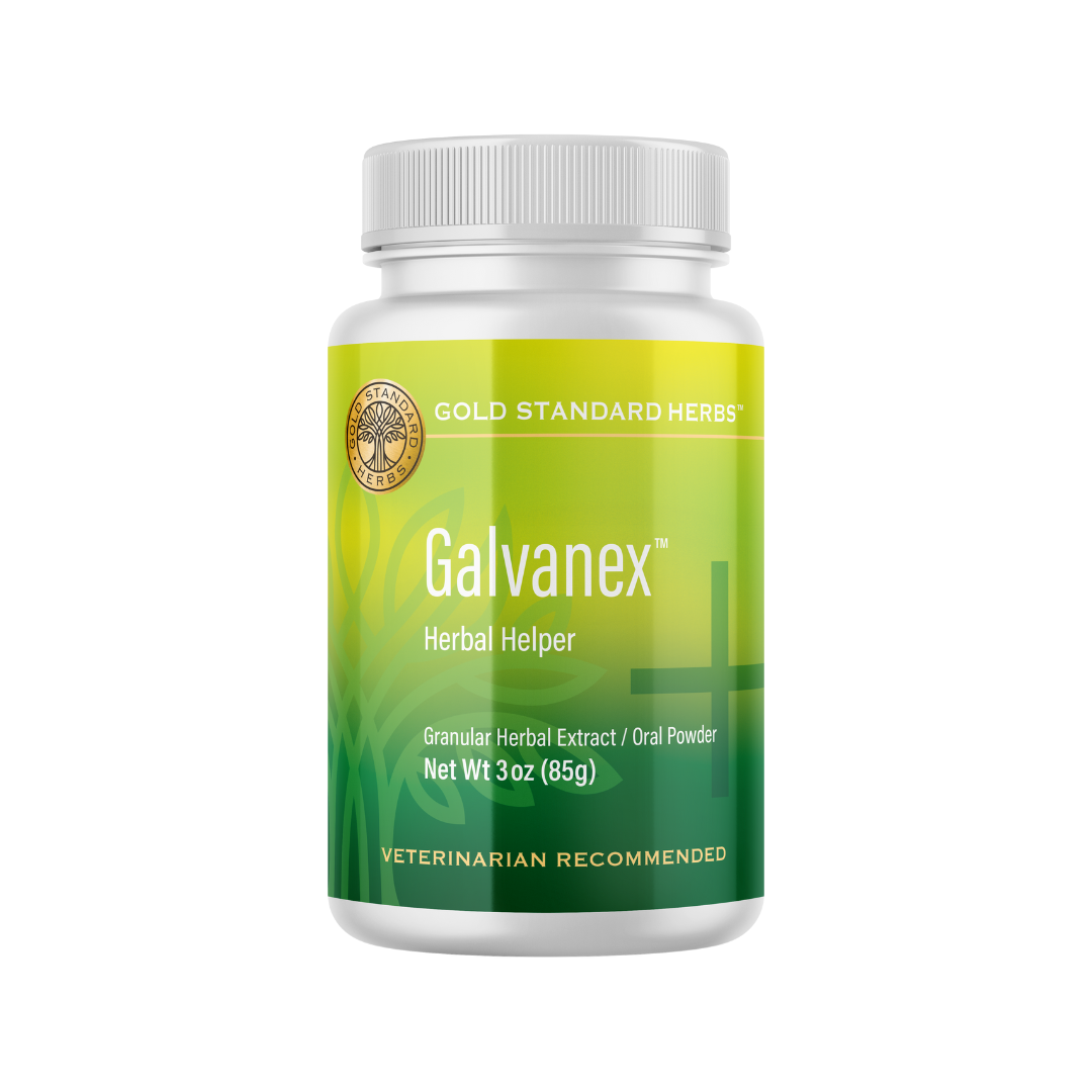 Gold Standard Herbs Galvanex | Lift the Qi, Whole Body Support | Holistic Healthcare for Dogs and Cats