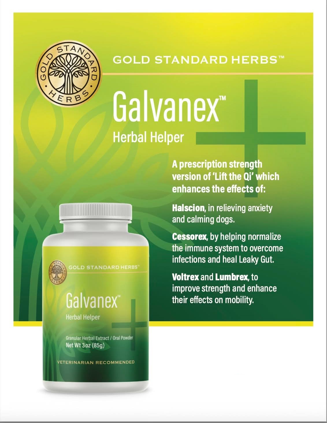 Gold Standard Herbs Galvanex | Lift the Qi, Whole Body Support | Holistic Healthcare for Dogs and Cats