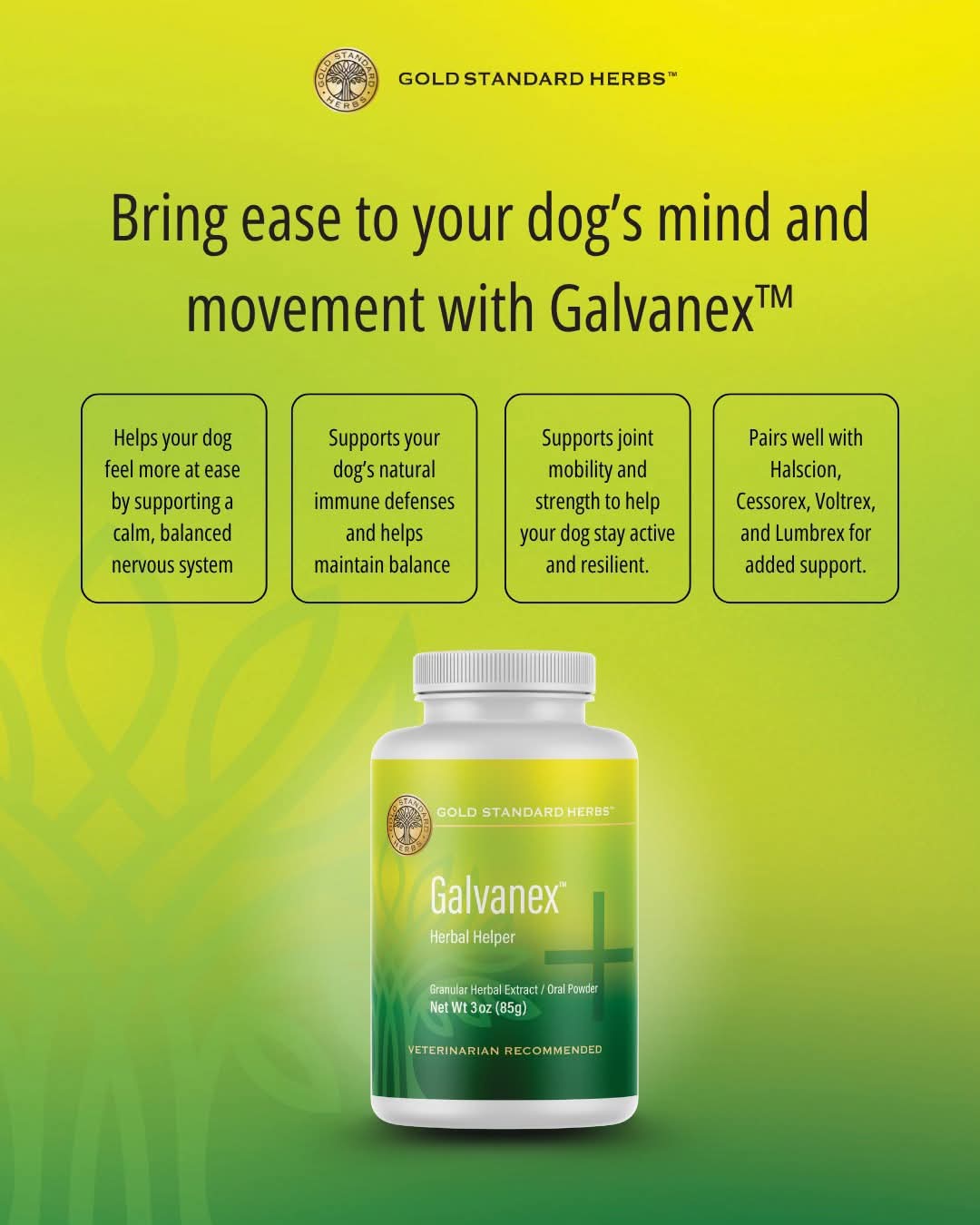 Gold Standard Herbs Galvanex (85g & 250g) Qi Energy Vitality Whole Body Support TCM Herbal Blend for Dogs and Cats