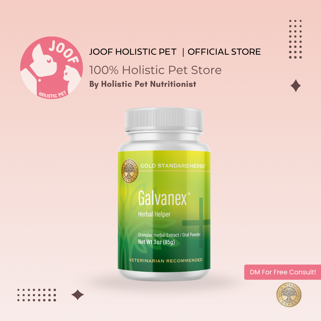 Gold Standard Herbs Galvanex (85g & 250g) Qi Energy Vitality Whole Body Support TCM Herbal Blend for Dogs and Cats