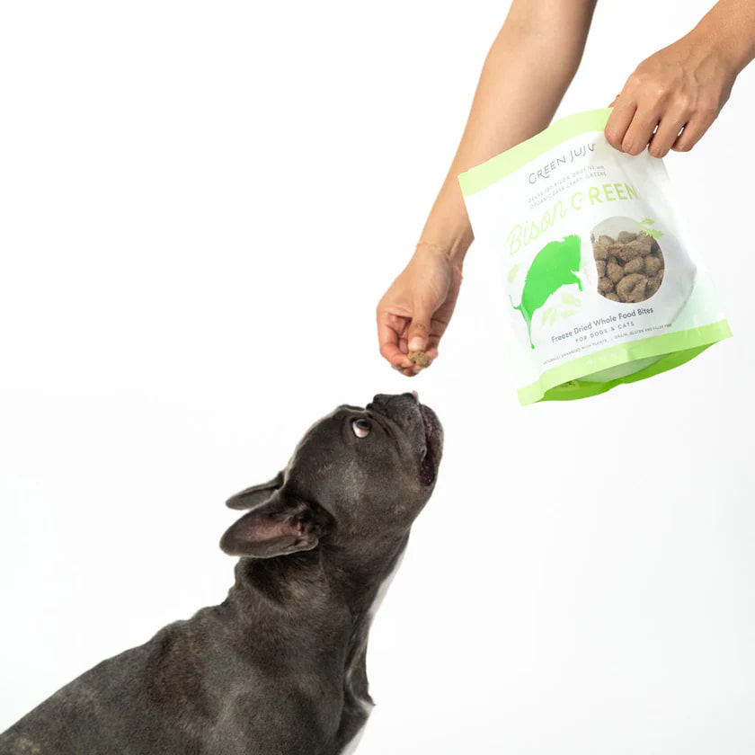 Green Juju Bison Green (2.5oz & 6oz) Freeze Dried Thyroid Immune Support Meal Topper for Dogs and Cats
