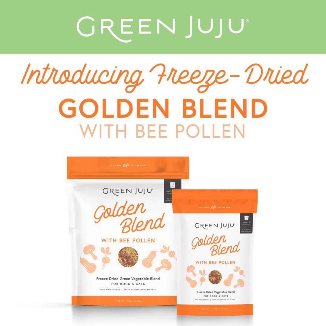 Green Juju Golden Blend Bee Pollen (1.75oz & 5.5oz) Allergy Immune Support Meal Topper for Dogs and Cats
